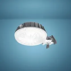 Patriot Lighting® Grey LED Dusk-to-Dawn Outdoor Security Area Light