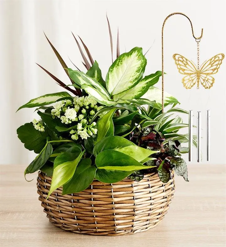 Butterfly Chime Dish Garden