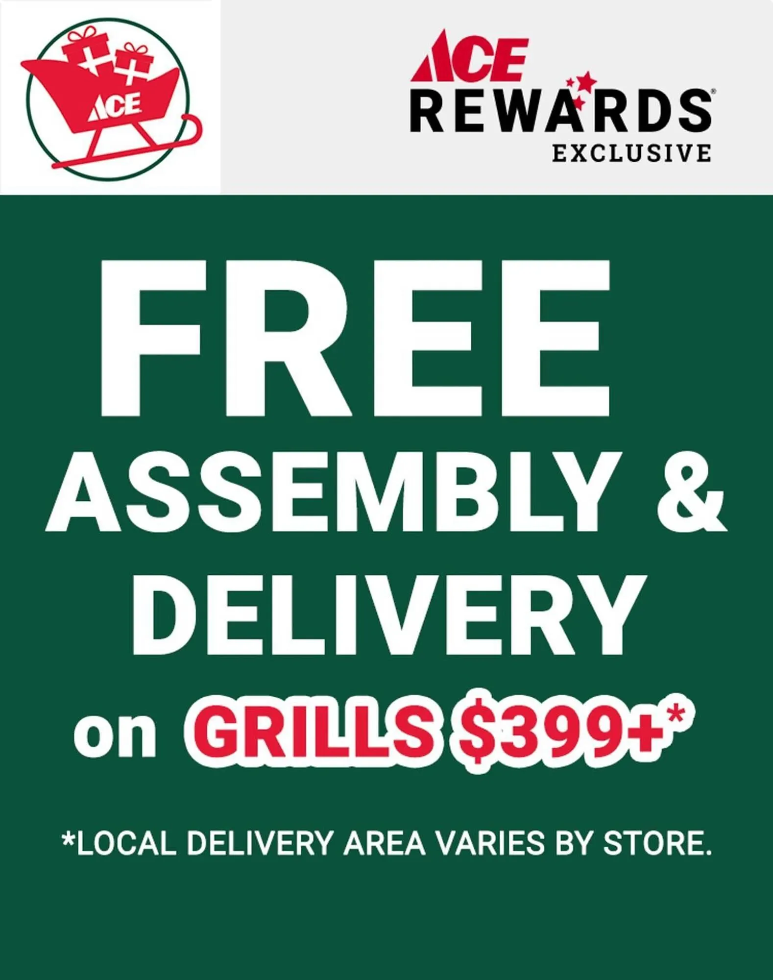 Weekly ad Ace Hardware flyer from November 4 to November 10 2025 - Page 4