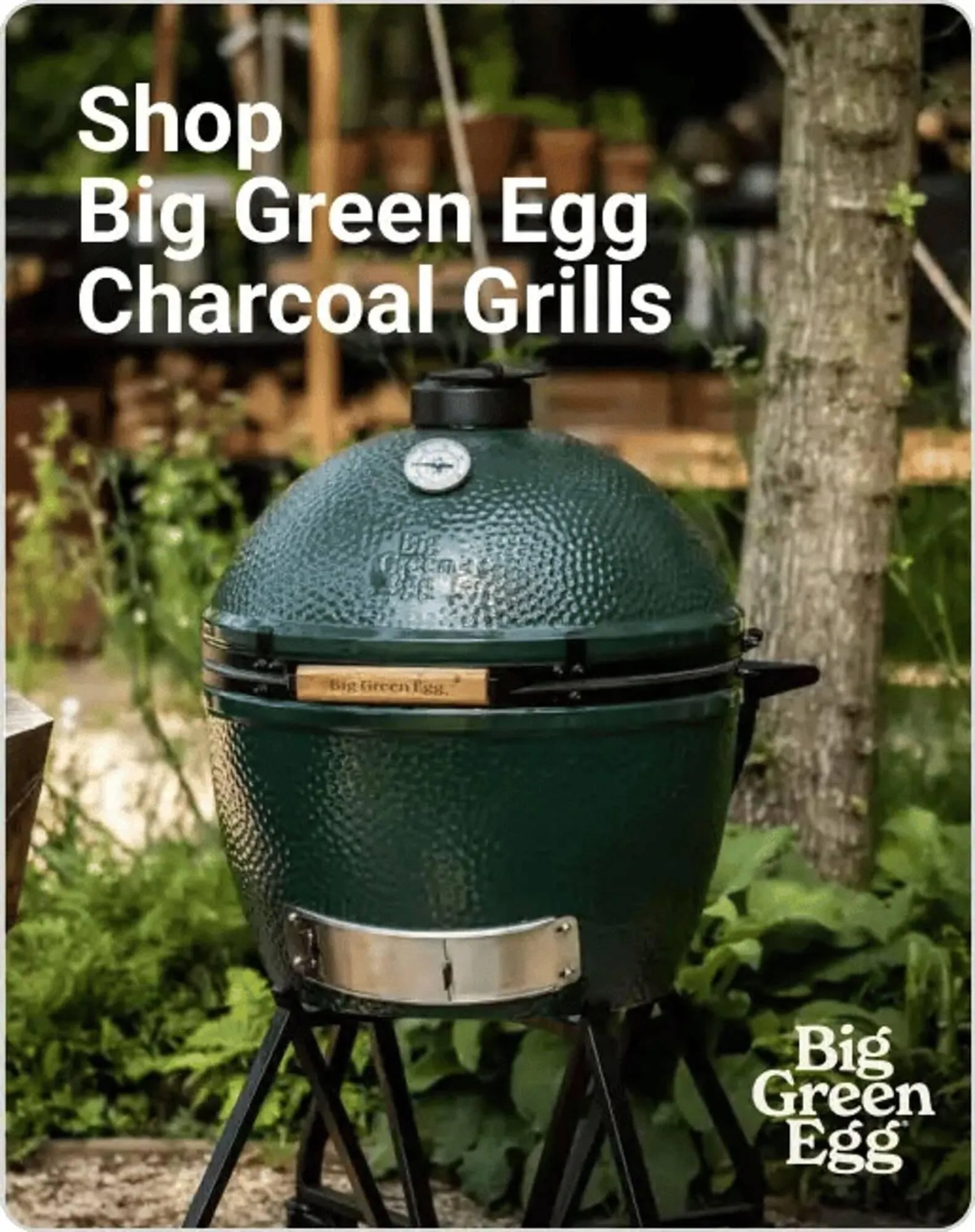 Weekly ad Ace Hardware flyer from March 19 to April 2 2026 - Page 28