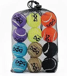 Squeaky Tennis Balls for Dogs - 12 Pack 2.0'' Durable Non-Toxic Outdoor Dog Toys Balls with Mesh Bag, SGS Certified, Colorful Fetch Toys,Small Breeds