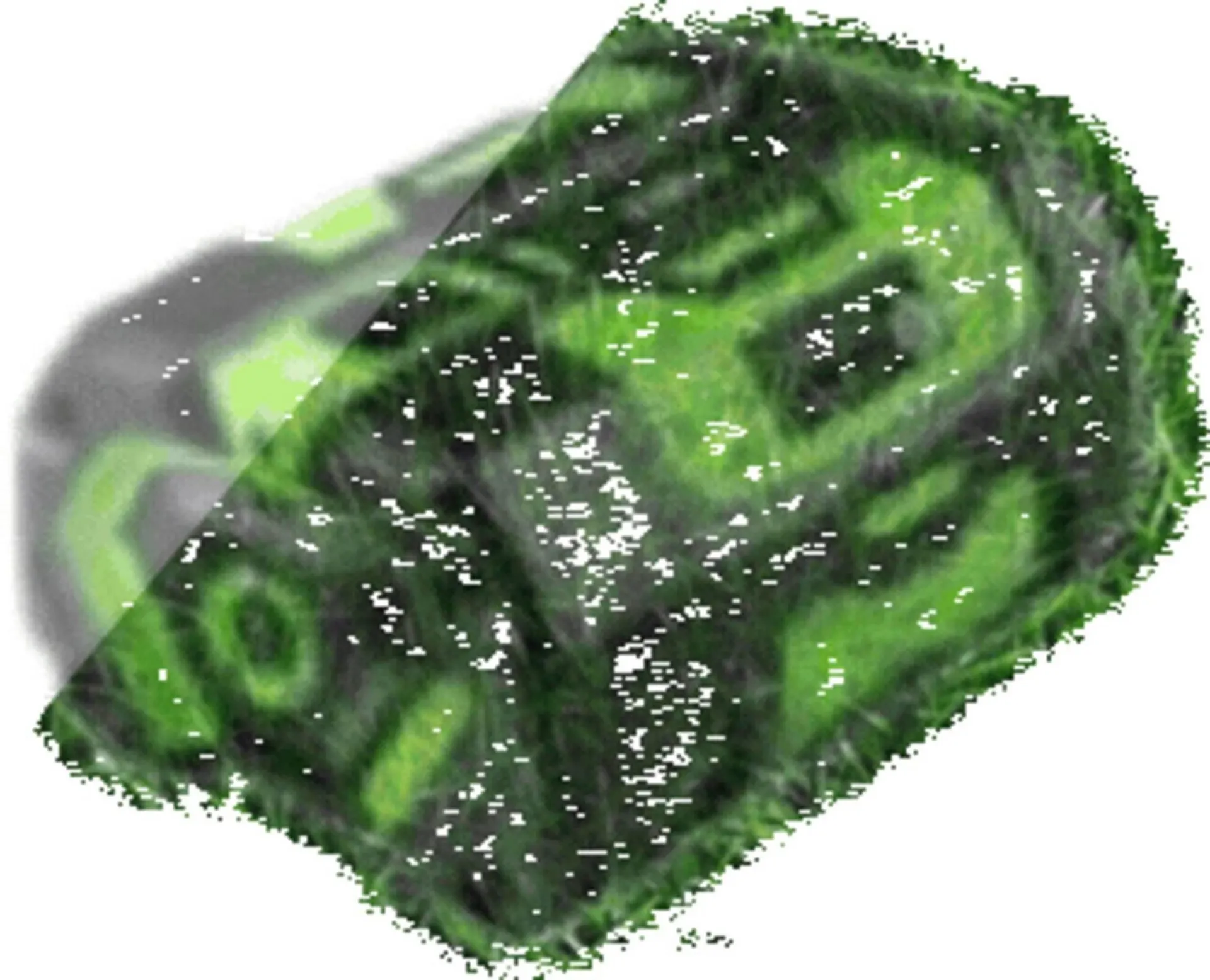 Weekly ad Ace Hardware flyer from April 16 to April 29 2026 - Page 97