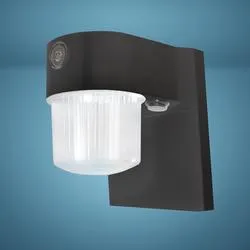 Patriot Lighting® Black LED Dusk-to-Dawn Jelly Jar Outdoor Security Light