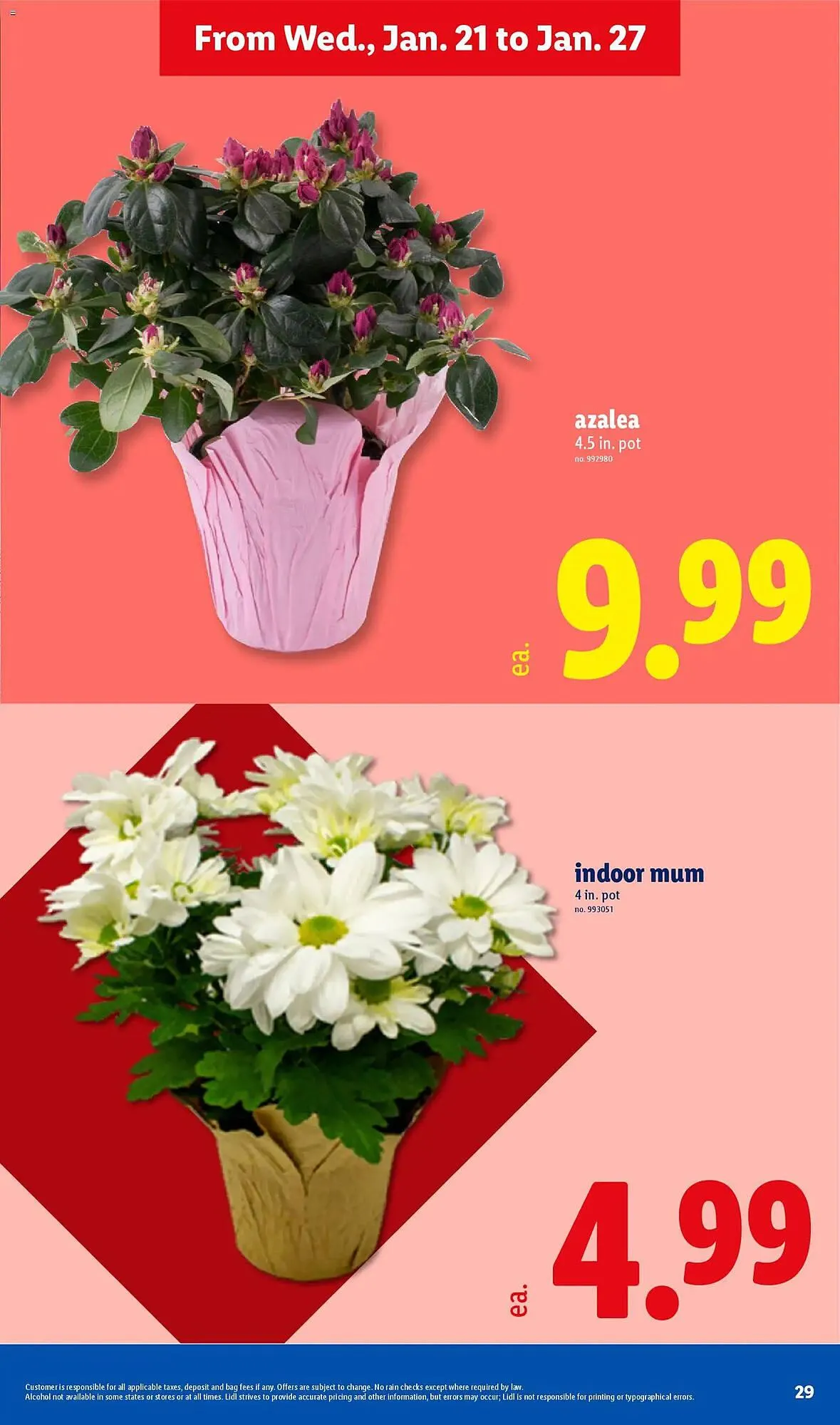 Weekly ad Lidl weekly ad from January 21 to January 29 2026 - Page 29