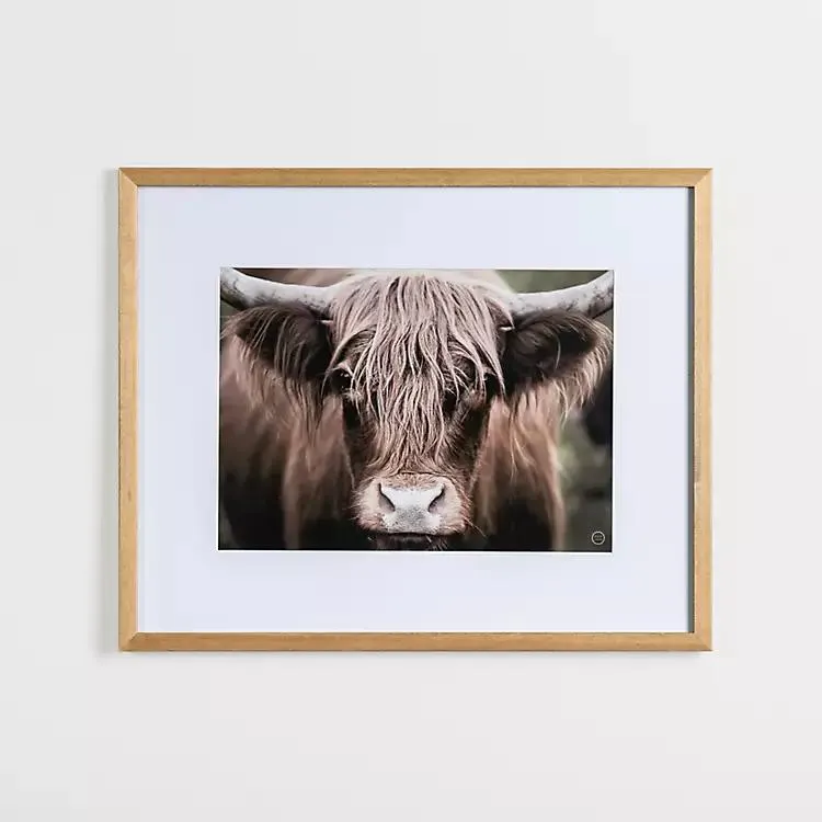 Highland Cow Stare Framed Art Print