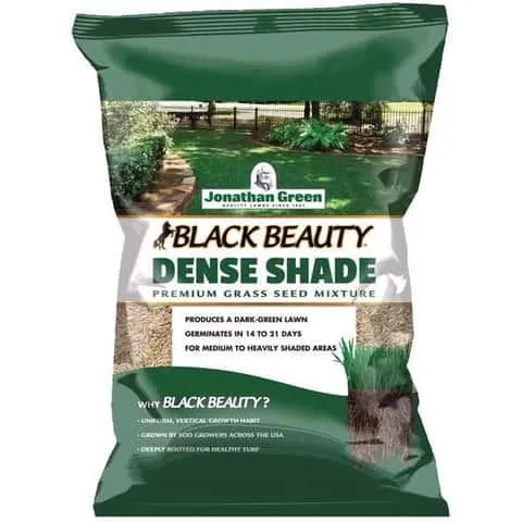 Jonathan Green Black Beauty Dense Shade Mixed Full Shade Grass Seed 25 lb