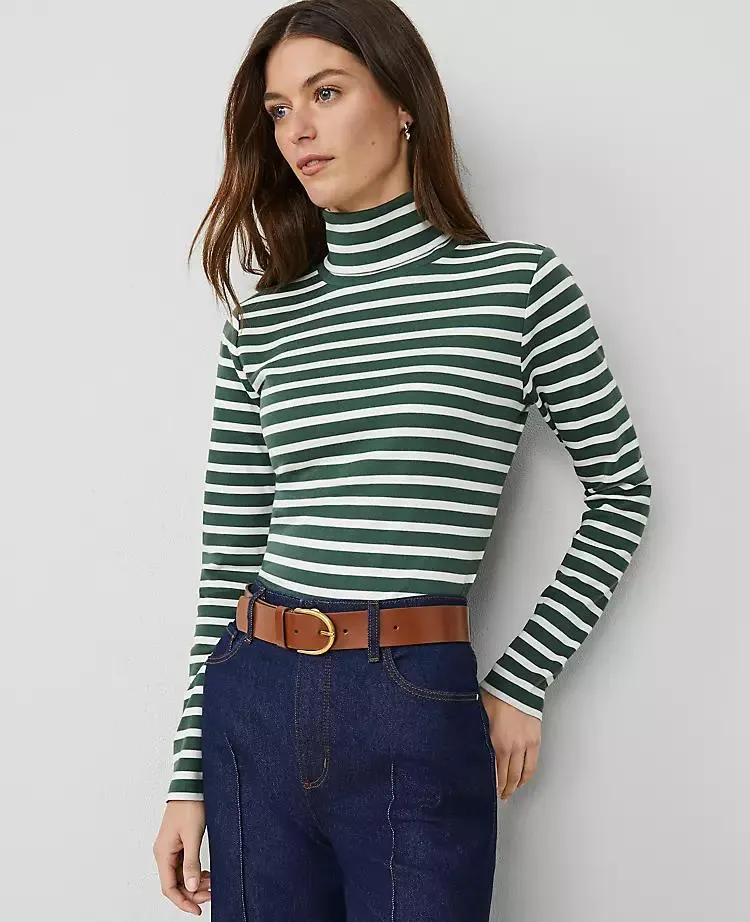 Weekend Collection Striped Turtleneck Top