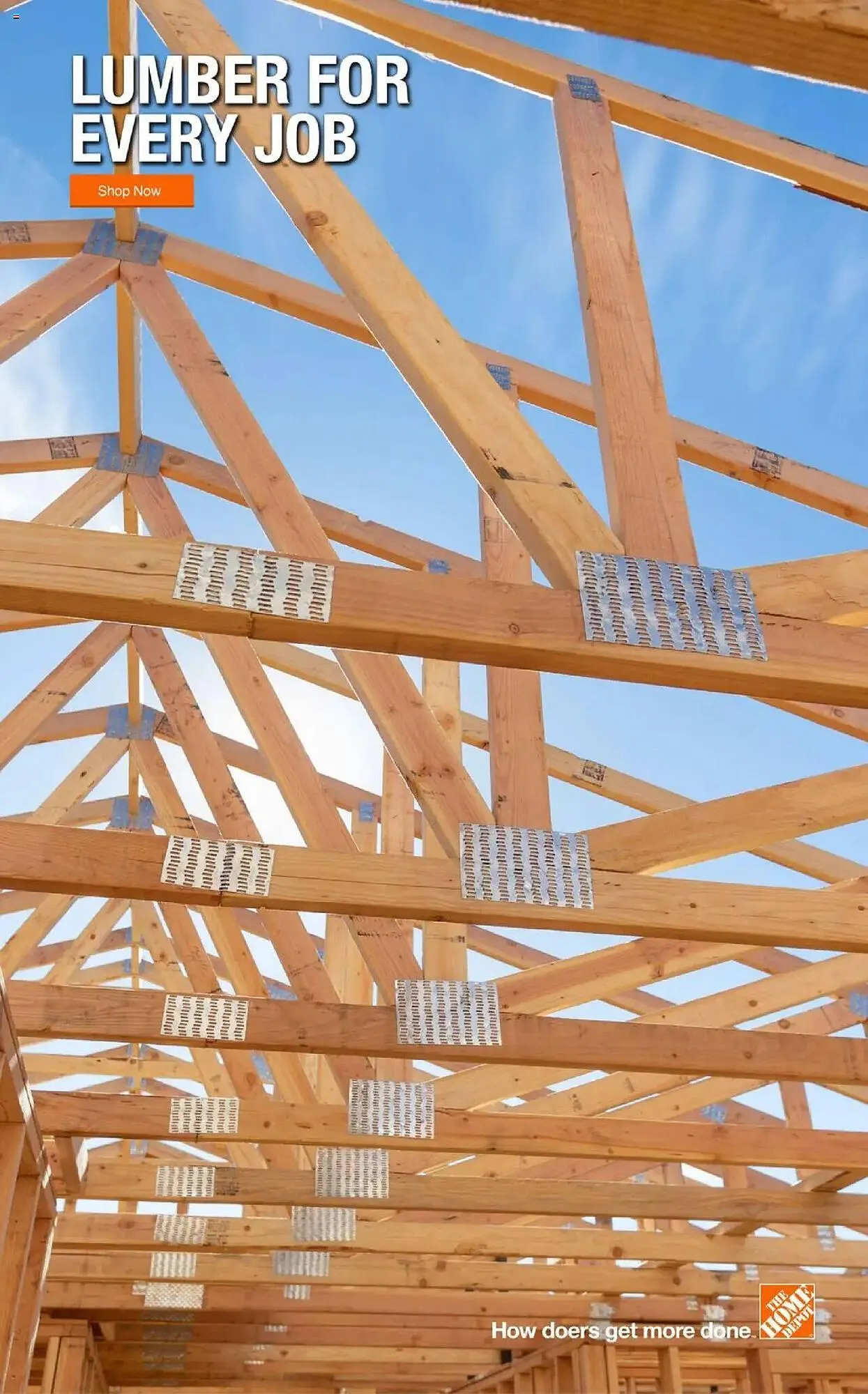 Weekly ad The Home Depot Weekly Ad from July 1 to July 1 2025 - Page 6