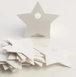 Blank Star Paper Tags (Package of 25 pieces)