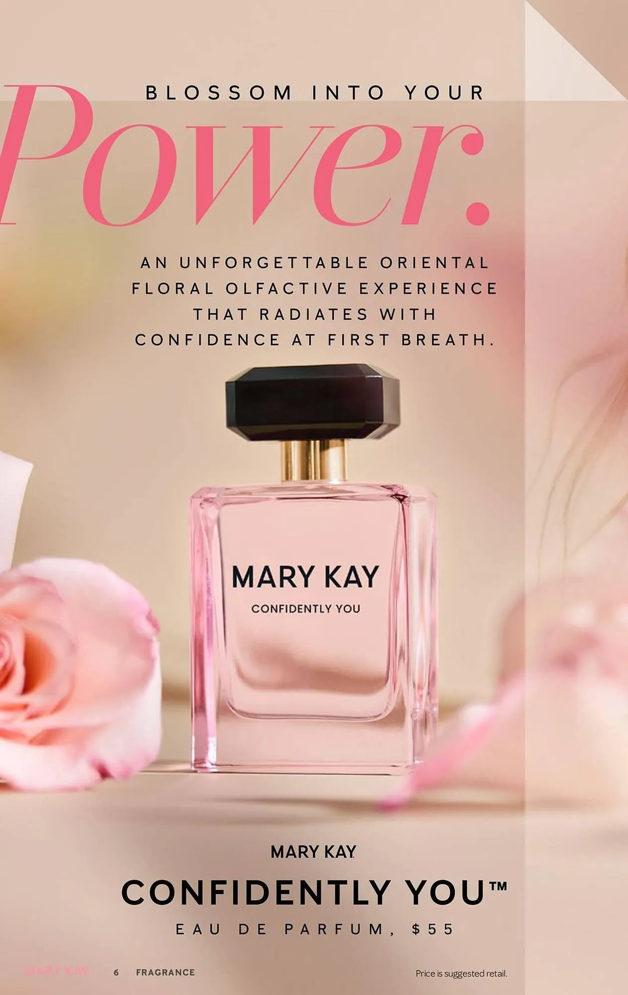 Weekly ad Mary Kay Weekly Ad from May 16 to May 22 2025 - Page 6