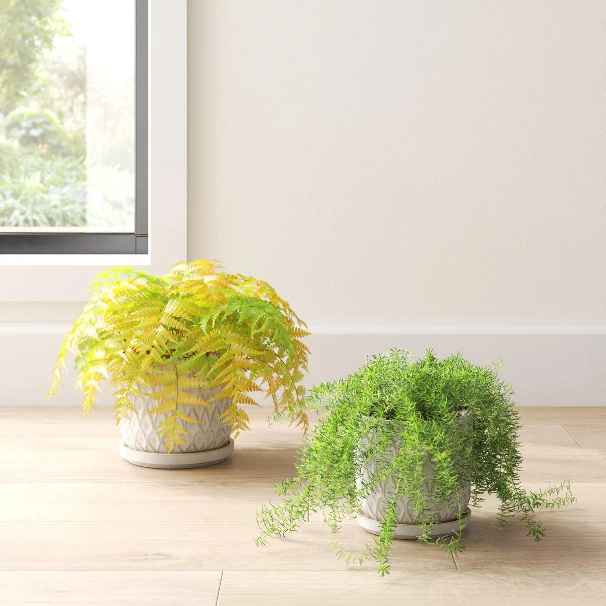 Neutral Textured Ceramic Saucer Planters Set of 2