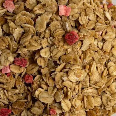 Organic Strawberry Apple Granola