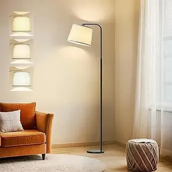 AKASUKI Floor Lamp for Living Room with 3 Color Temperatures, Foot Switch Standing Lamps for Living Room, Bedroom, Office, Arc Mordern Floor Lamp with 9W LED Bulb Included