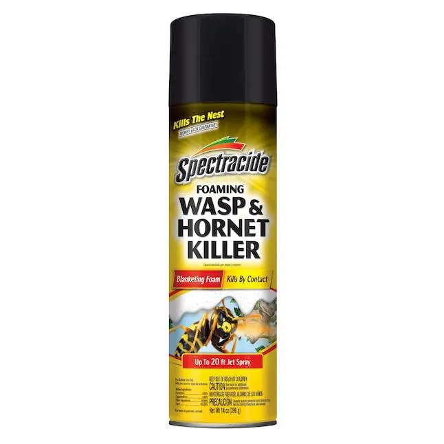 Spectracide Foaming Wasp and Hornet Killer 14 -fl oz Foam Insect killer