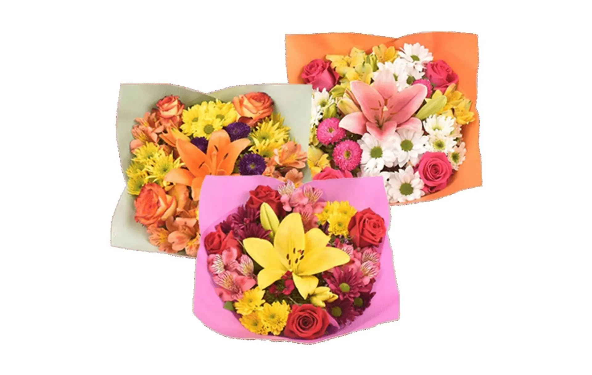 Weekly ad Northgate Market weekly ad from February 18 to March 3 2026 - Page 50