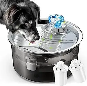 lesotc Dog Water Fountain for Large Dogs/Cats, 2.6 Gallon Pet Water Fountain Cat Water Fountain 10L Dog Water Bowl Dispenser with Stainless Steel Filtered Drinking Bowl for Dogs & Cats & Multiple Pets