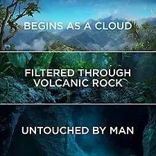 FIJI Natural Artesian Water, 16.9 fl. oz., 24 pk.