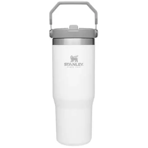 Stanley IceFlow 30 oz Polar BPA Free Double-Wall Vacuum Insulated Straw Tumbler