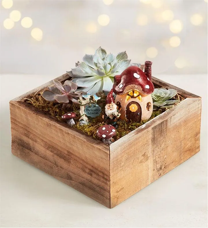 Welcome Gnome Succulent Garden