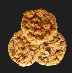 SPECIAL RECIPE MONSTER