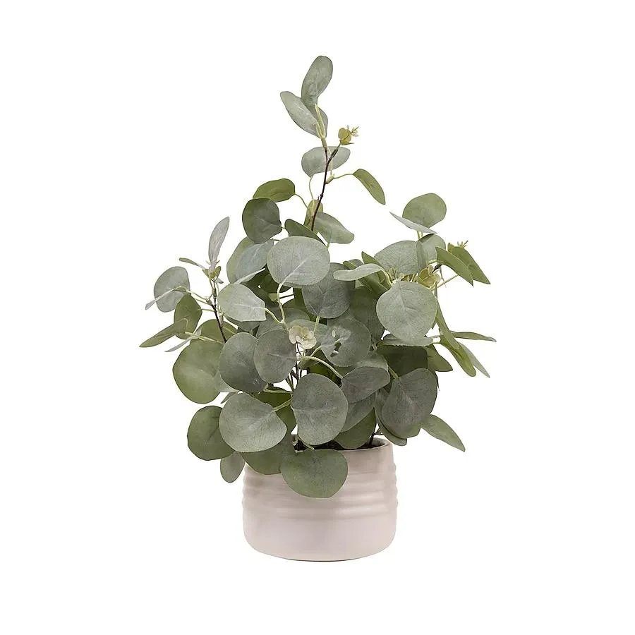 allen + roth 16-Inches Green Indoor Desktop Eucalyptus Artificial plant