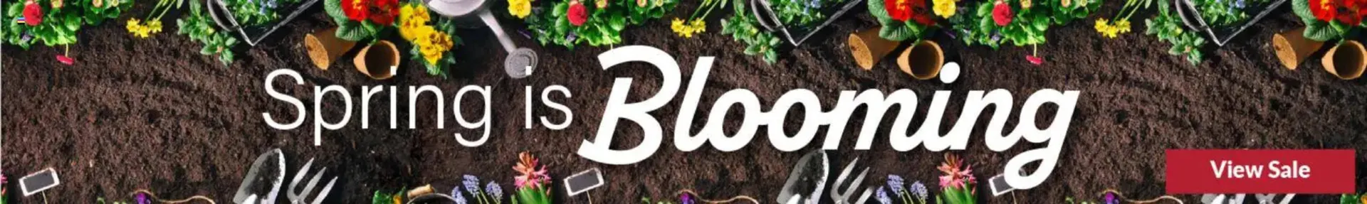 Weekly ad Big Y flyer from March 19 to March 25 2026 - Page 9