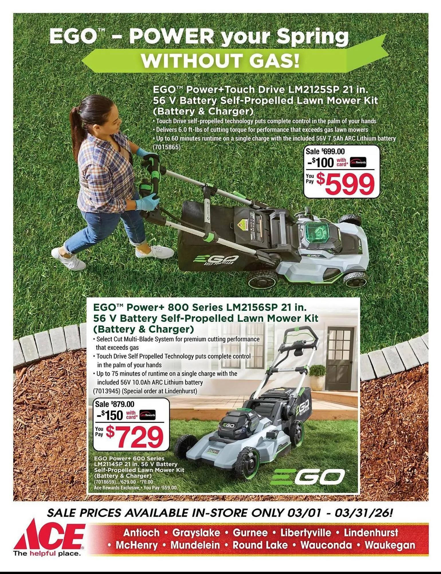 Weekly ad Ace Hardware flyer from March 1 to March 31 2026 - Page 3