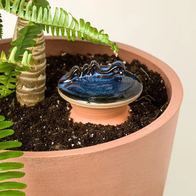 Self-Watering Terracotta Olla