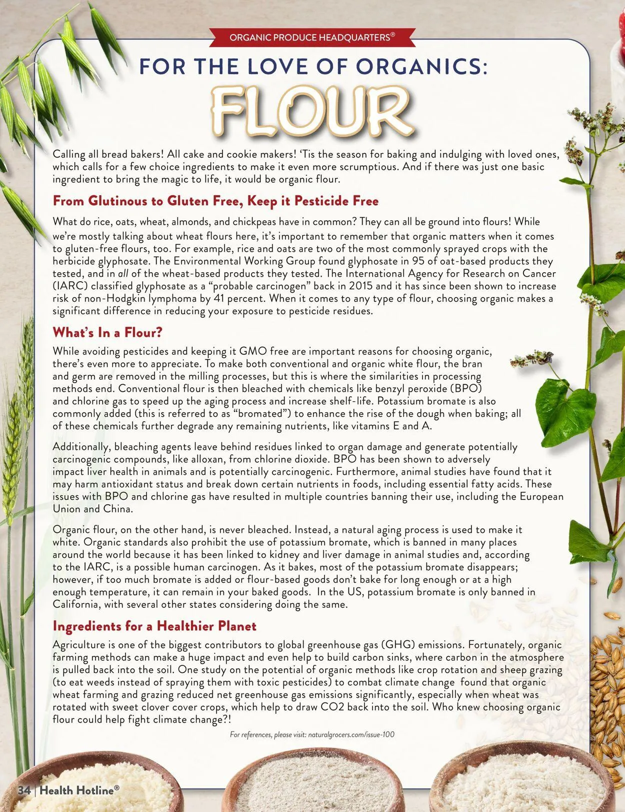 Weekly ad Natural Grocers from October 23 to November 3 2025 - Page 34