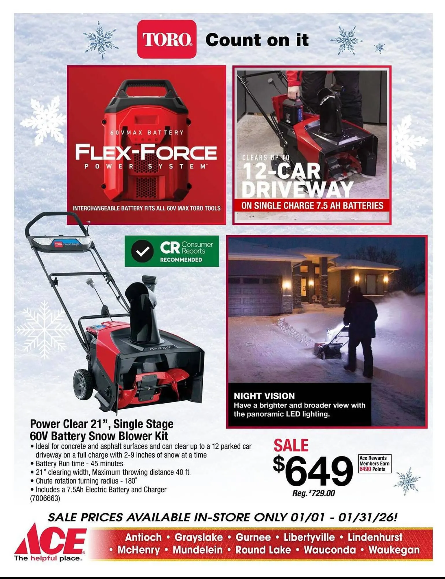 Weekly ad Ace Hardware flyer from January 1 to January 31 2026 - Page 13