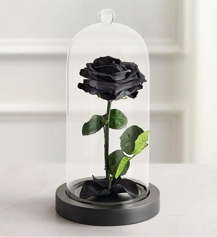 Enchanted Beauty™ by Magnificent Roses® Black