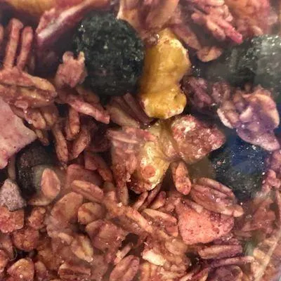 Nuthouse Granola "Blueberry Crumble Granola" Gluten Free (Packaged)