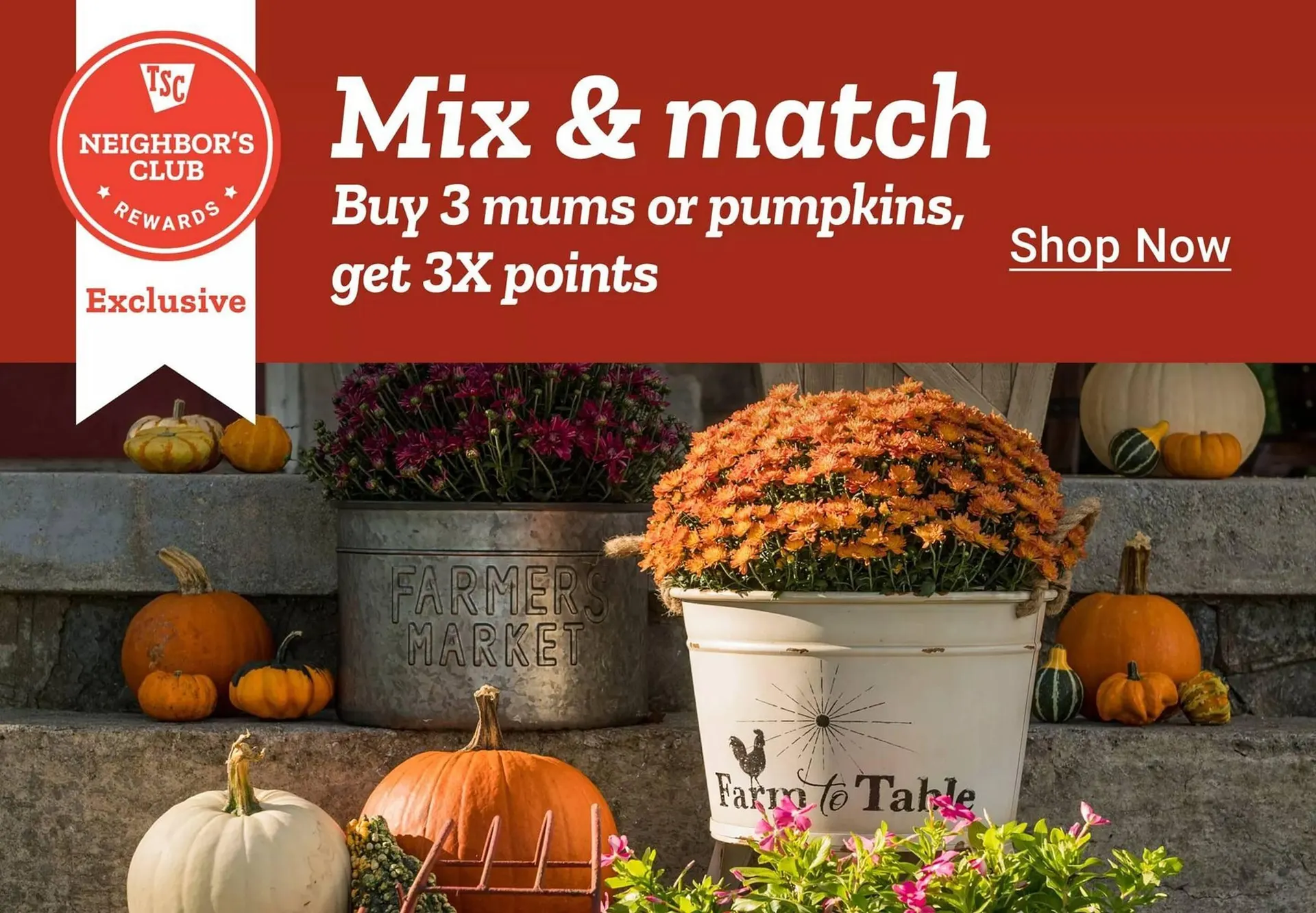 Weekly ad Tractor Supply Company weekly ad from October 4 to October 10 2025 - Page 2