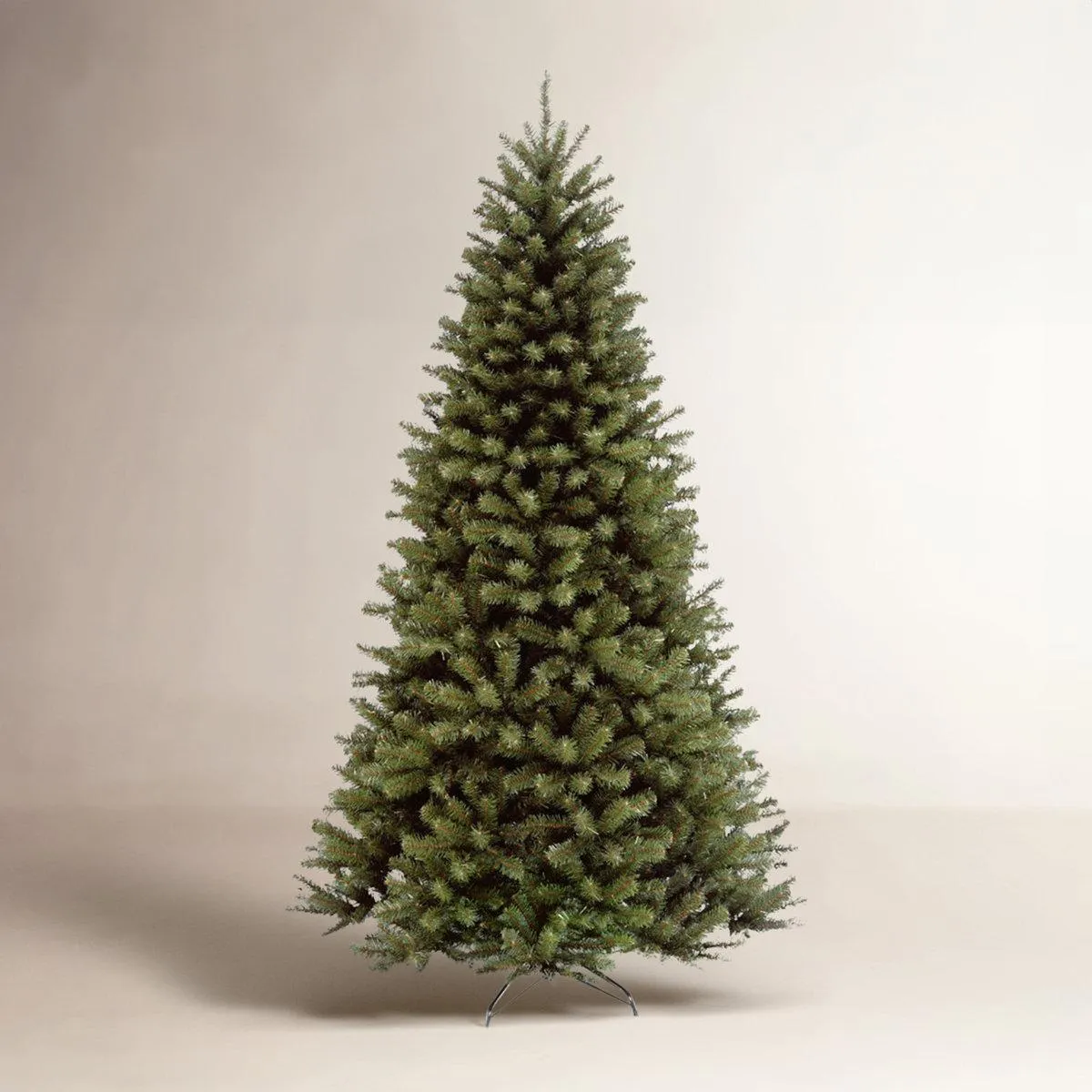 North Valley Spruce Tree