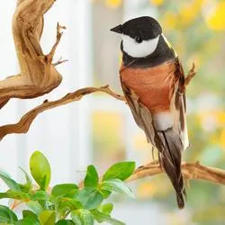 Artificial Black Capped Chickadee Mushroom Bird