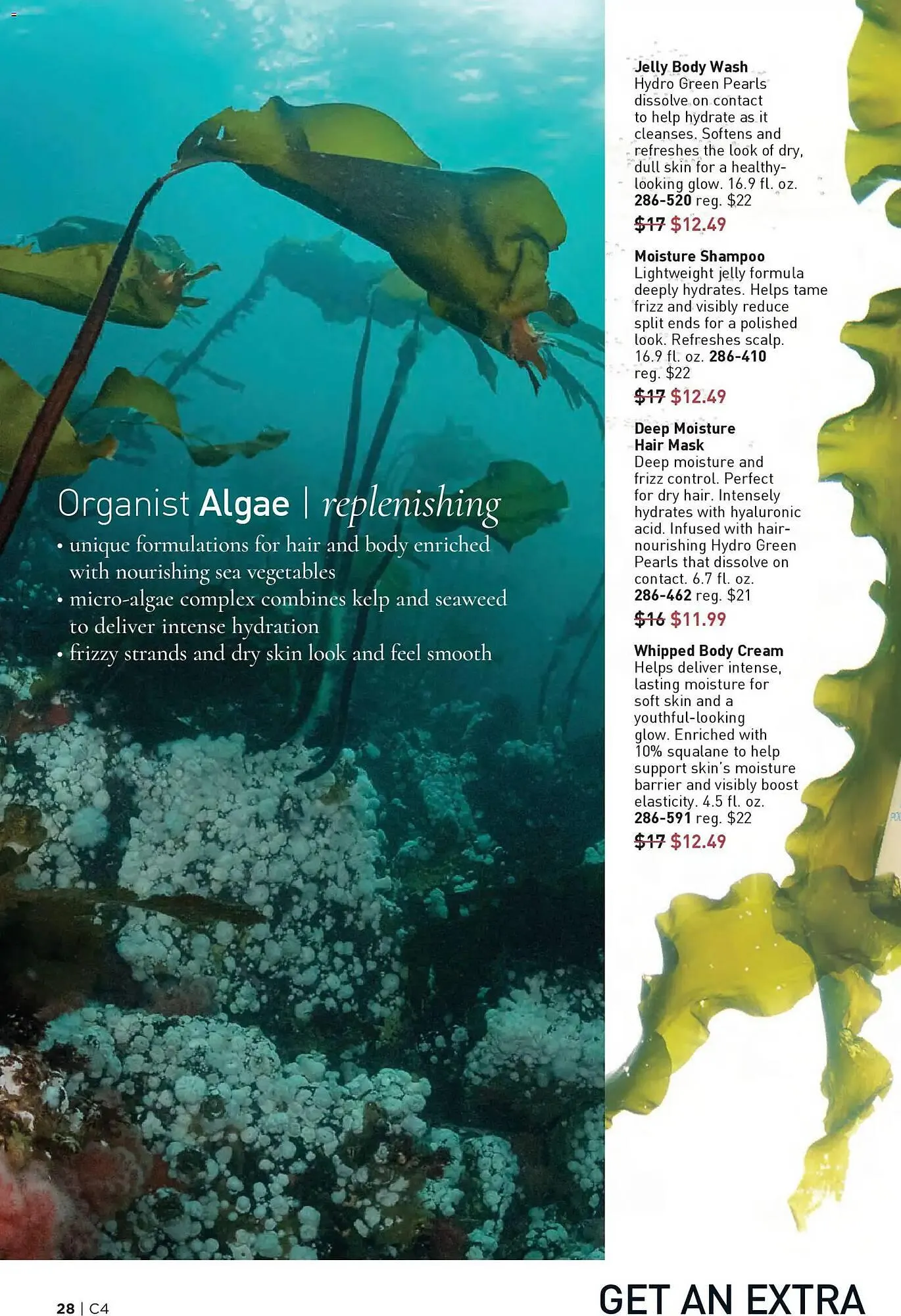 Weekly ad Avon weekly ad from February 11 to February 25 2026 - Page 28