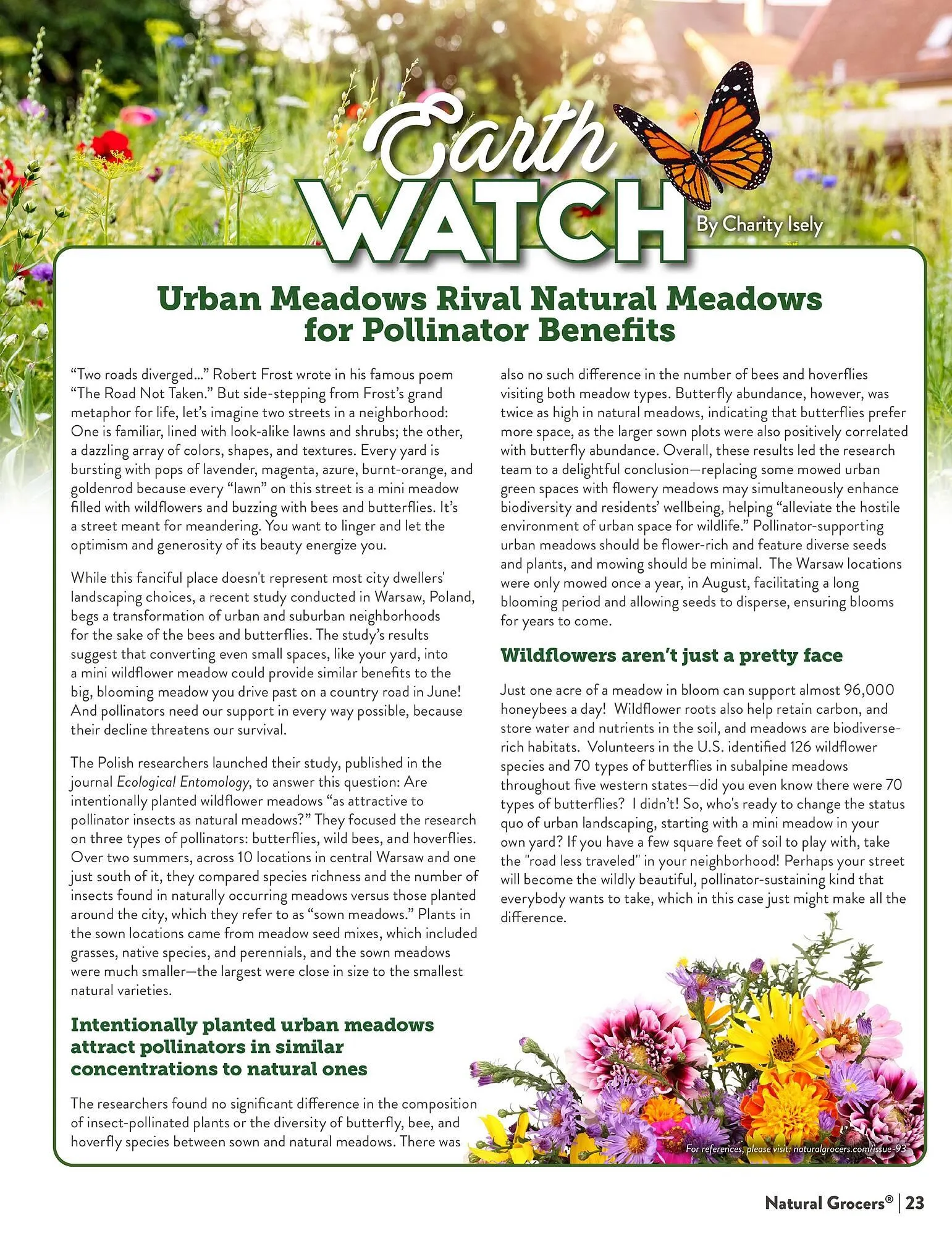 Weekly ad Natural Grocers ad from April 18 to April 26 2025 - Page 23