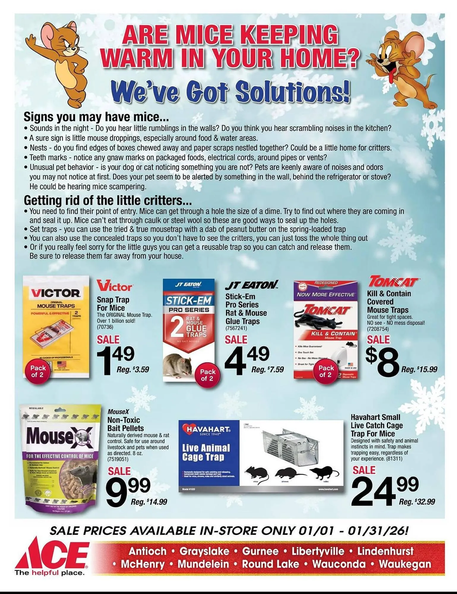Weekly ad Ace Hardware flyer from January 1 to January 31 2026 - Page 19