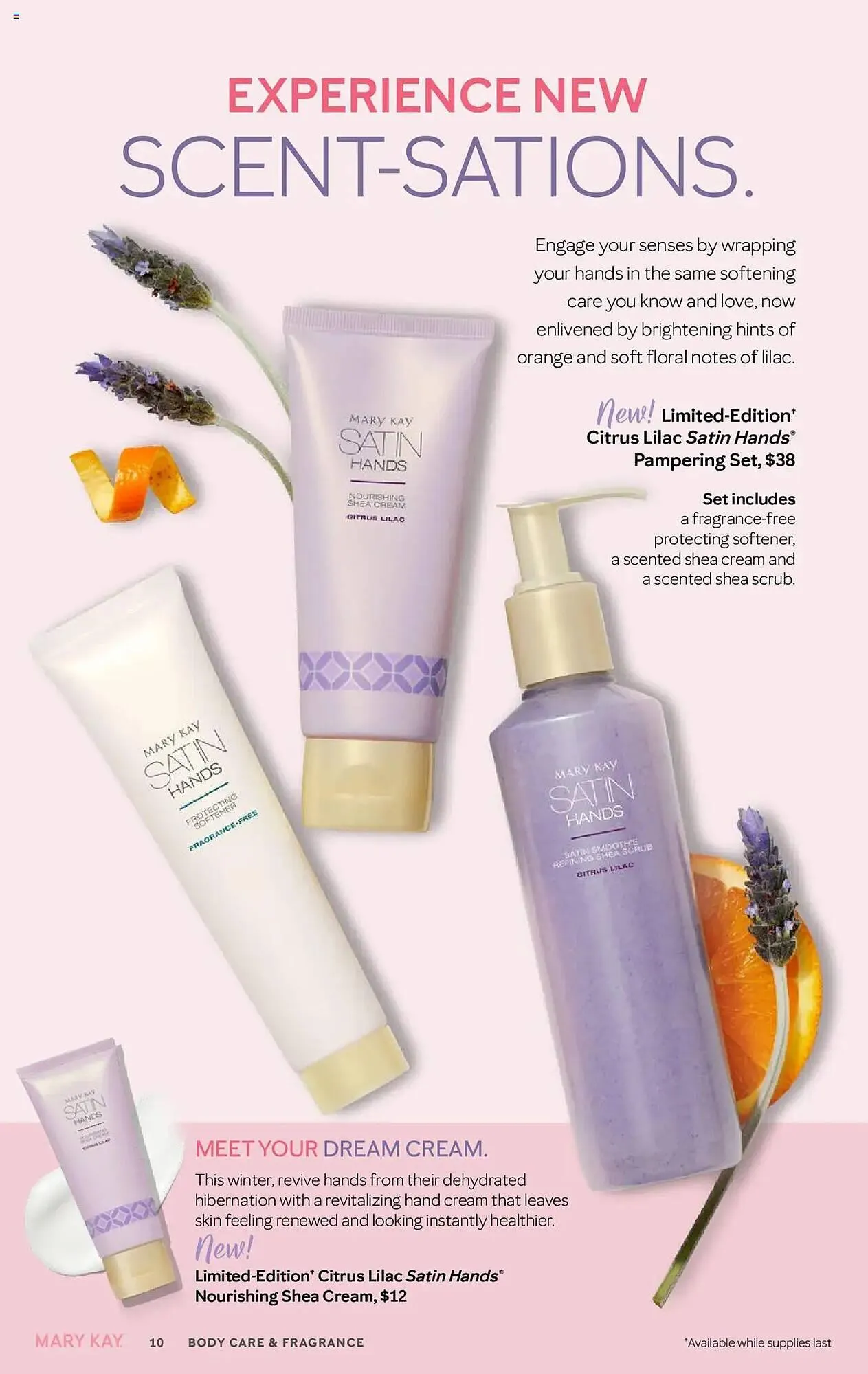 Weekly ad Mary Kay Weekly Ad from November 16 to February 17 2025 - Page 10