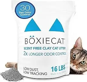 Boxie Unscented 30 Day Odor Control Clumping Clay Cat & Kitty Litter 16 lb, 99.9% Dust-Free, Hard Flat Top Clumps, No Fragrances No Fillers, Long-Lasting, Easy to Scoop
