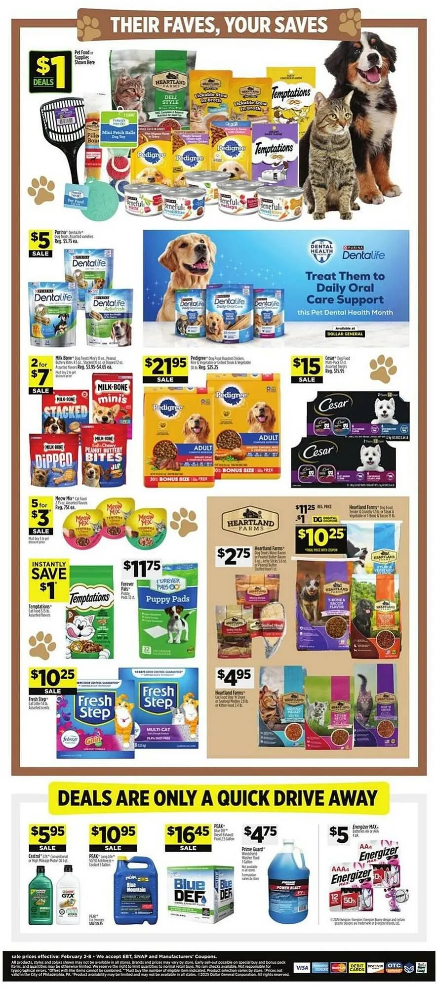 Weekly ad Dollar General Weekly Ad from February 2 to February 8 2025 - Page 11