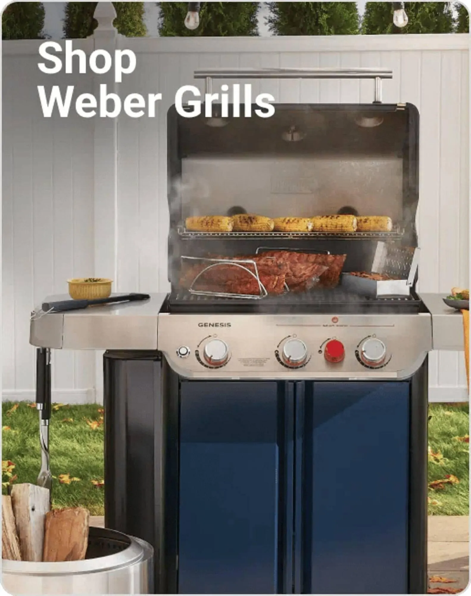 Weekly ad Ace Hardware flyer from December 27 to January 2 2026 - Page 12