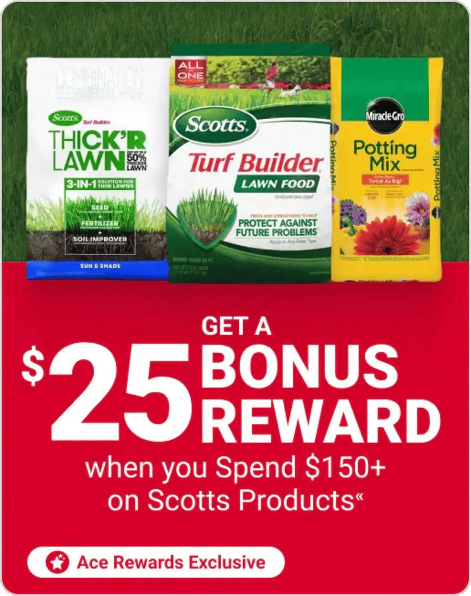 Weekly ad Ace Hardware flyer from March 3 to March 16 2026 - Page 4