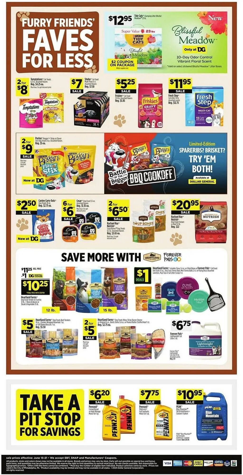 Weekly ad Dollar General Weekly Ad from June 15 to July 19 2025 - Page 13