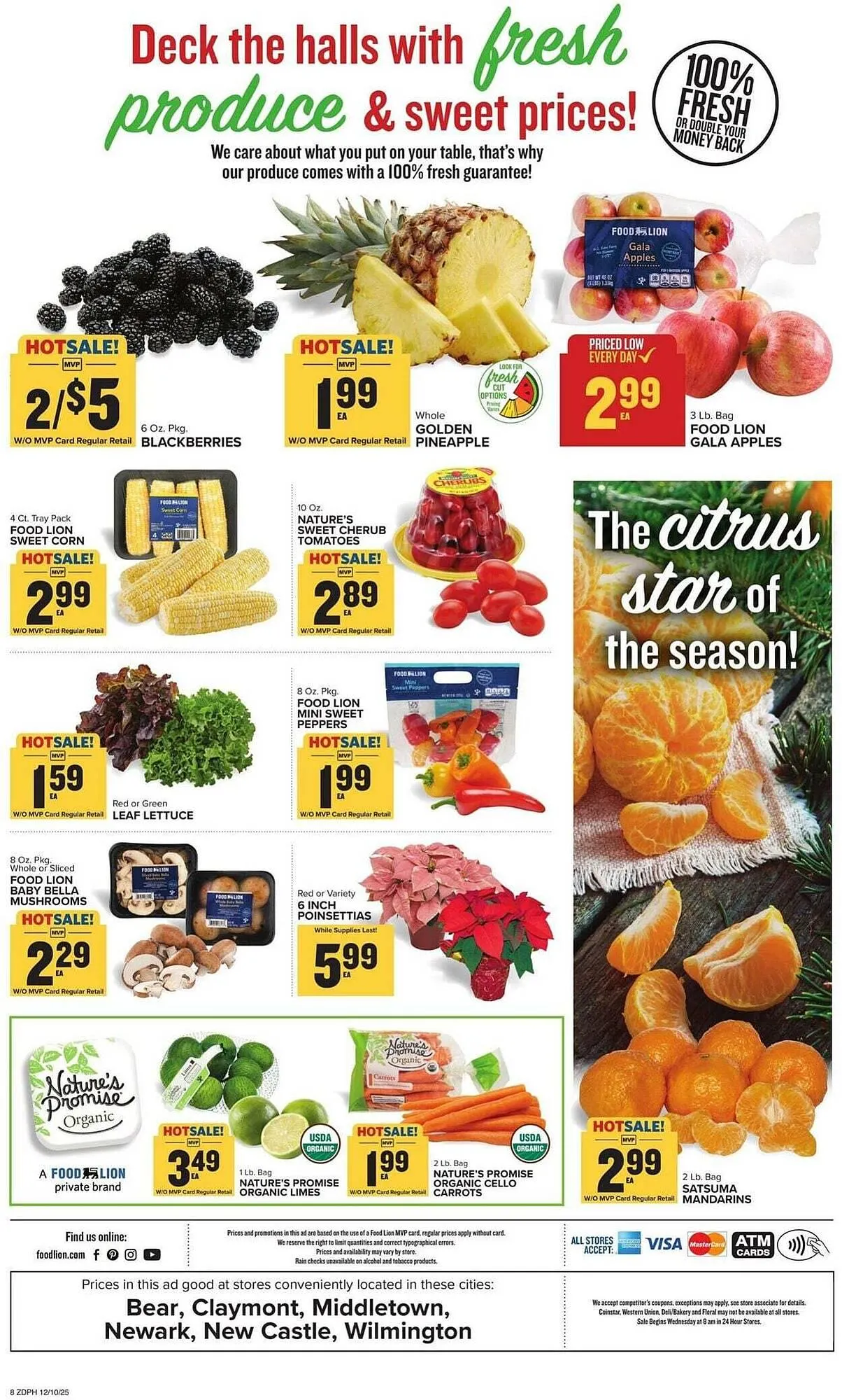 Weekly ad Food Lion weekly ad from December 10 to December 16 2025 - Page 15