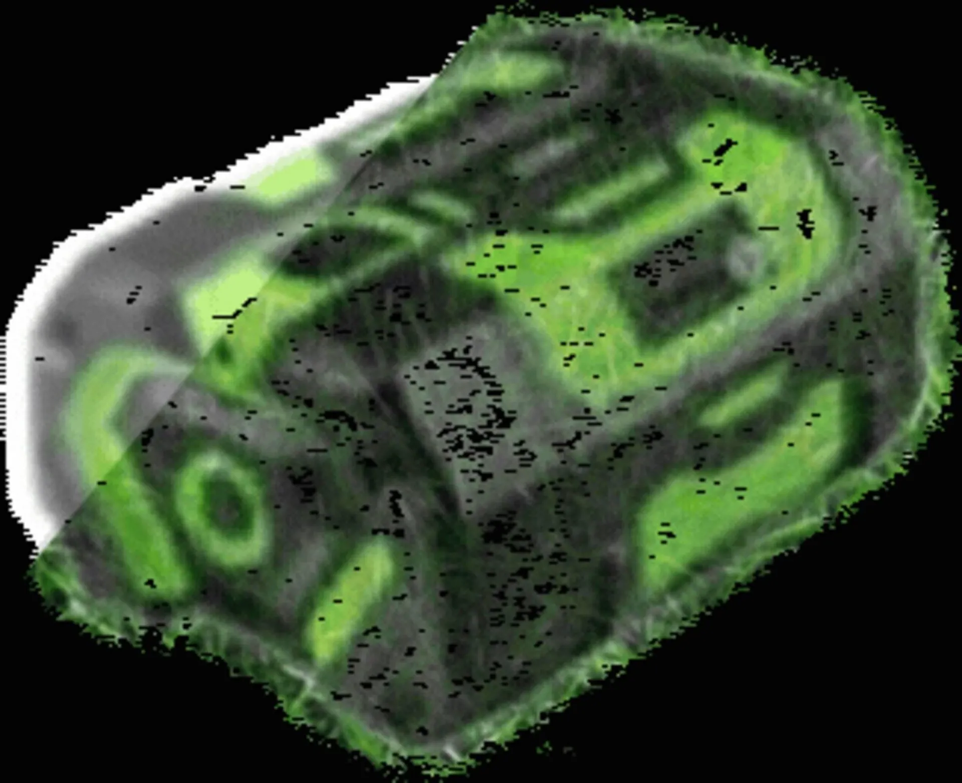 Weekly ad Ace Hardware flyer from April 16 to April 29 2026 - Page 67