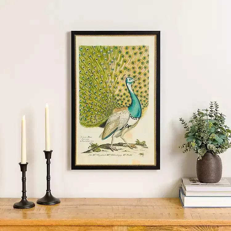 Peacock Framed Wall Art