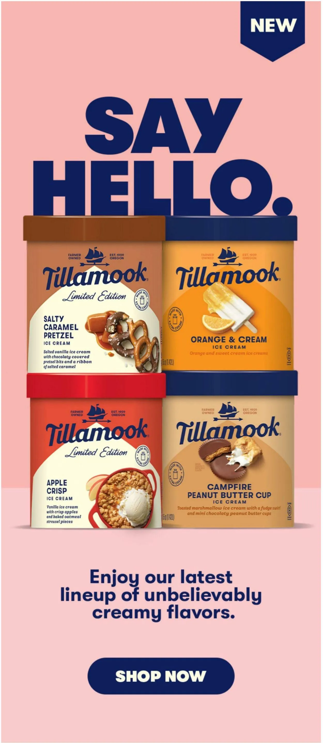 Weekly ad Stop & Shop from May 9 to May 15 2025 - Page 9