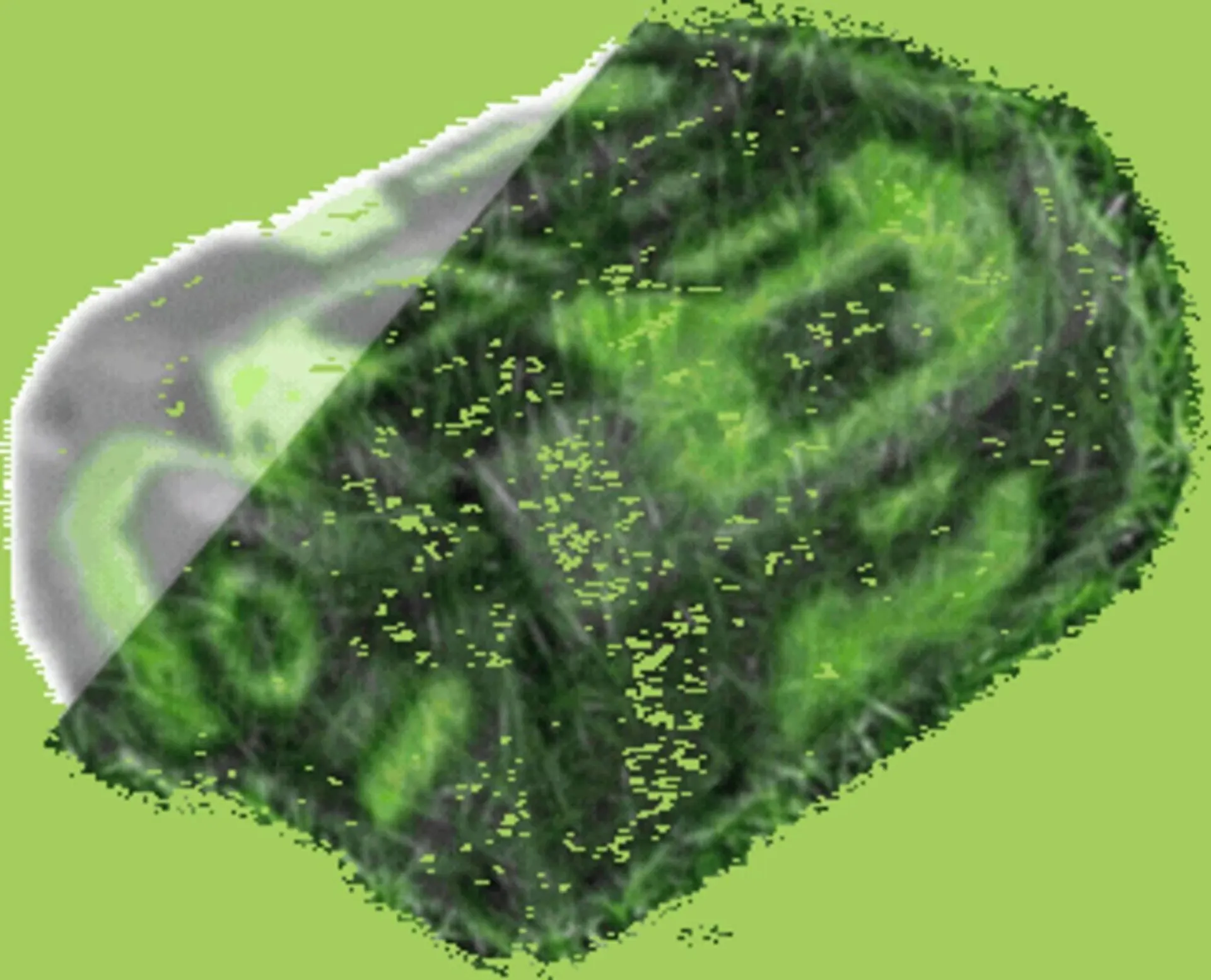 Weekly ad Ace Hardware flyer from April 16 to April 29 2026 - Page 98