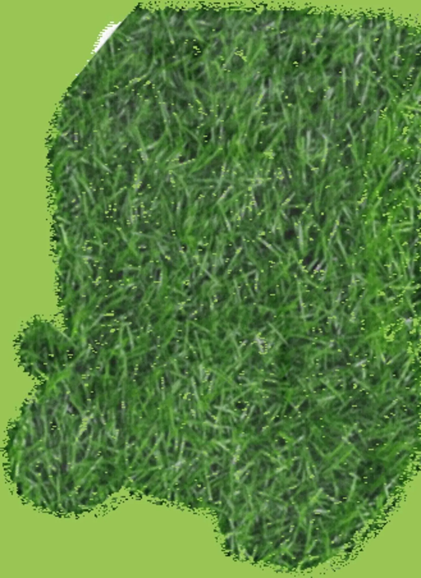 Weekly ad Ace Hardware flyer from April 16 to April 29 2026 - Page 3